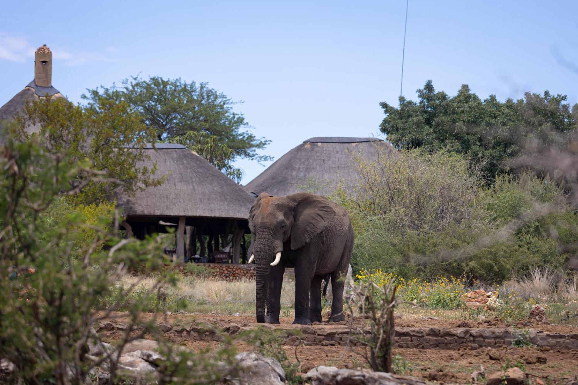 Rhulani Safari Lodge Madikwe Game Reserve Exterior photo