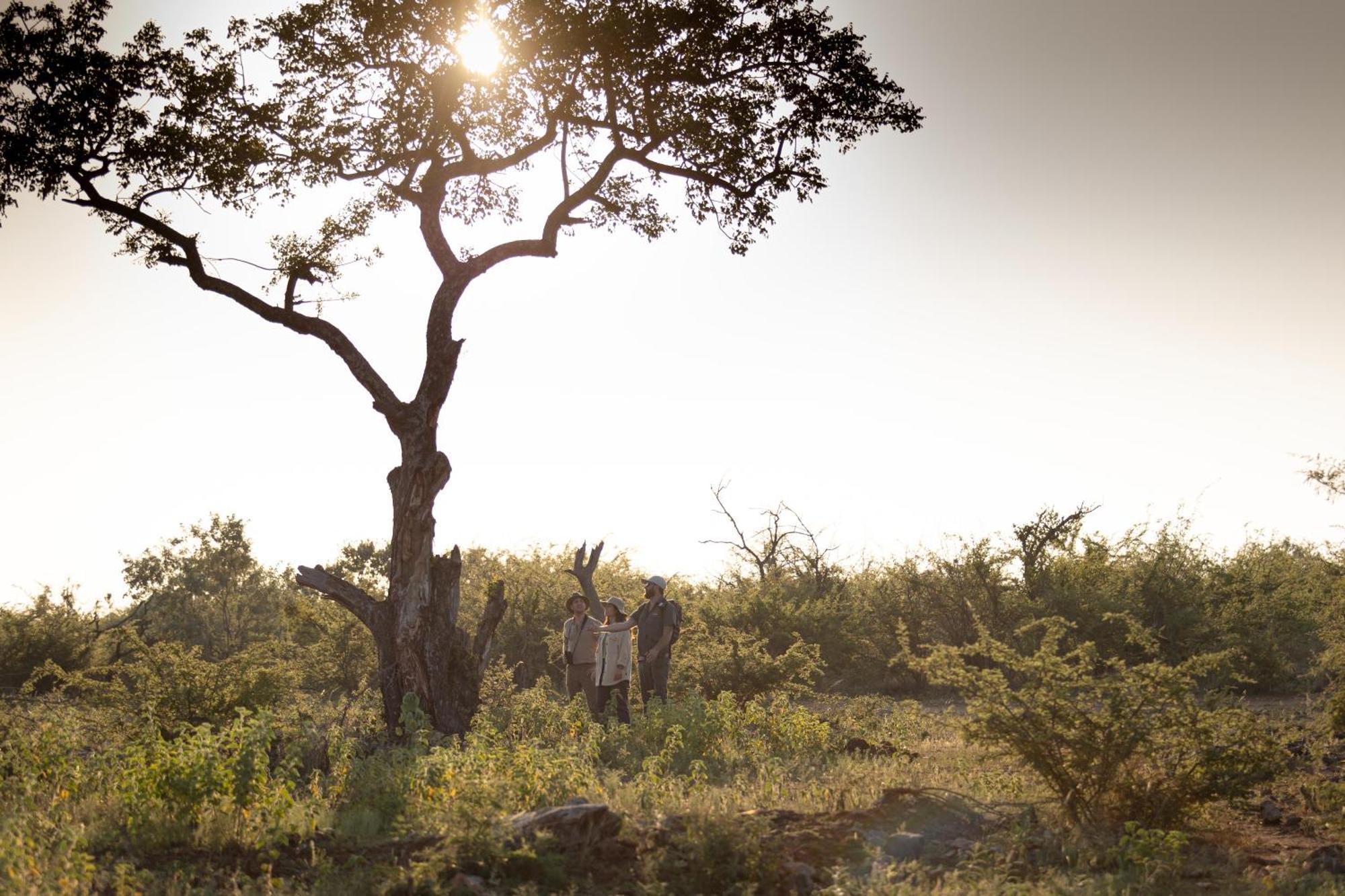 Rhulani Safari Lodge Madikwe Game Reserve Exterior photo