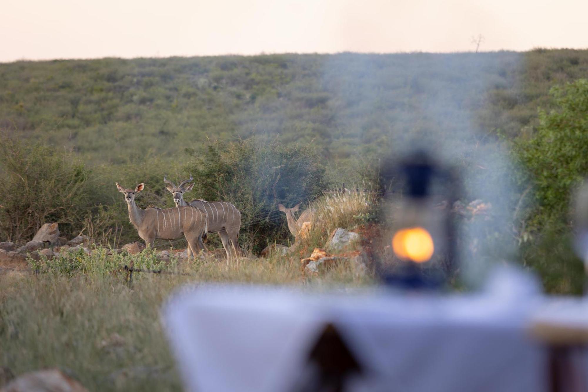 Rhulani Safari Lodge Madikwe Game Reserve Exterior photo