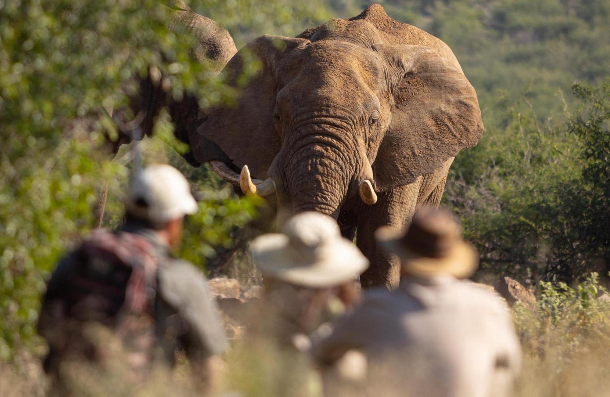 Rhulani Safari Lodge Madikwe Game Reserve Exterior photo